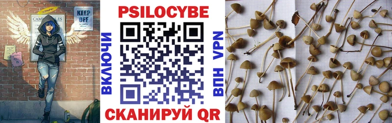 Псилоцибиновые грибы GOLDEN TEACHER  где найти   Дальнегорск 